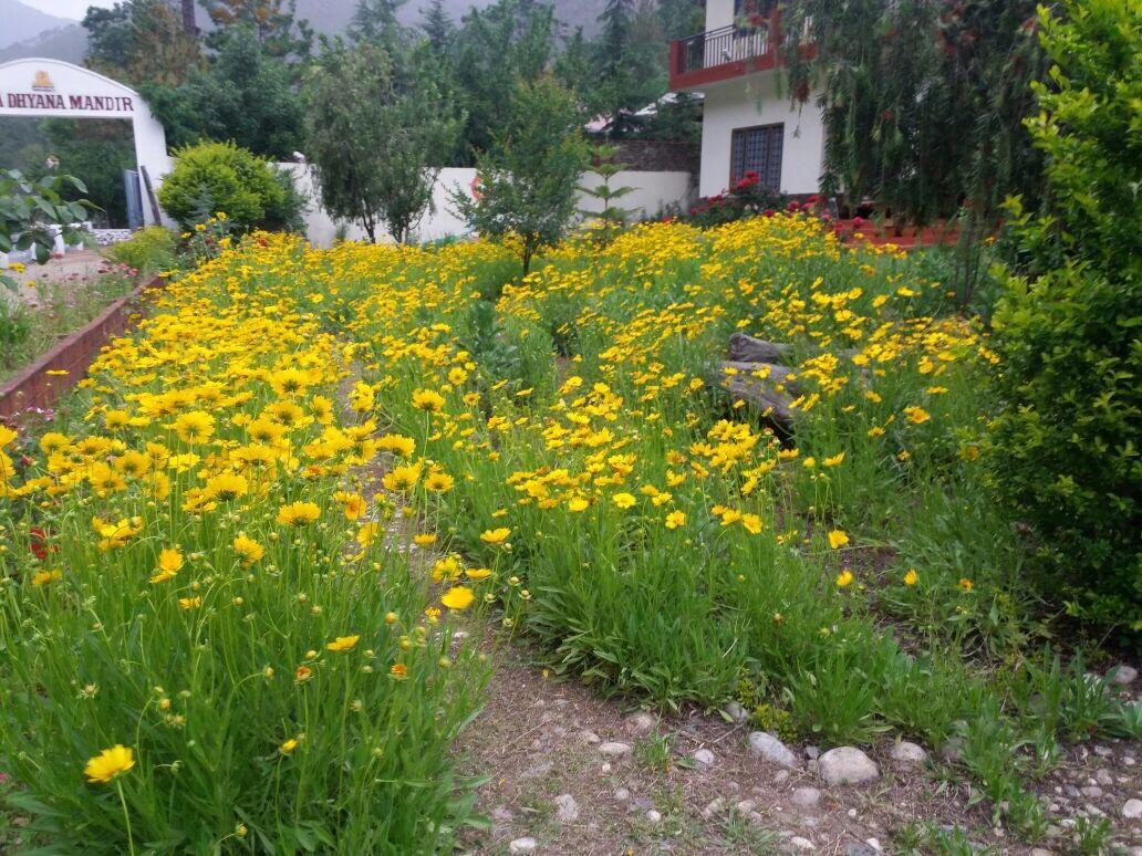 Anand Ganga Hotel Uttarkashi Exterior photo